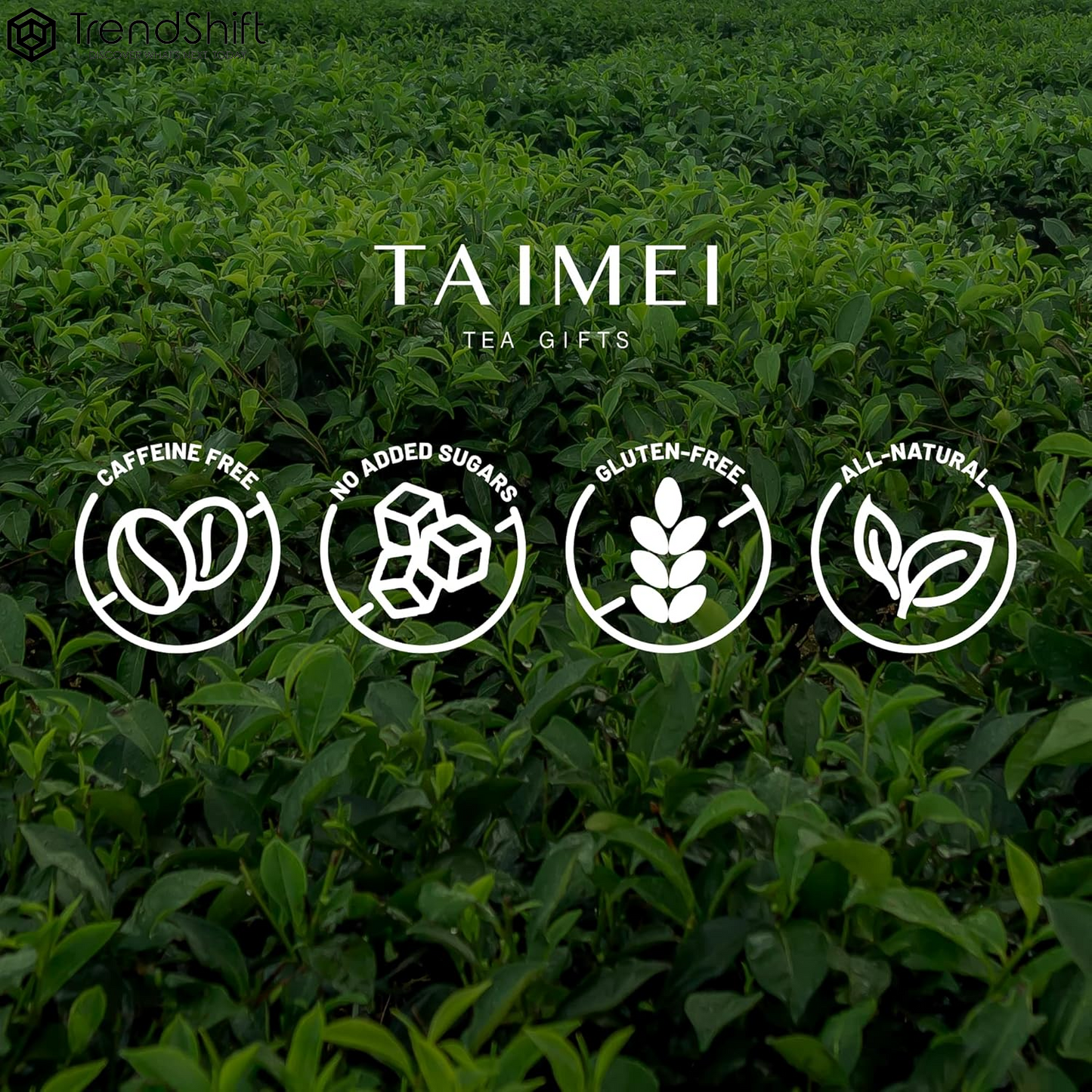 Satsuma Citrus Herbal Loose Leaf Tea, 20 CT Corn Fibre Pyramid Tea Bags - German Natural Non Caffeinated Tea for Kids with Fruits & Chrysanthemum - Brew Hot or Iced Tea